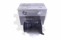 фото thumb №1, Esen skv 58skv015 подушка воздушная, подвеска