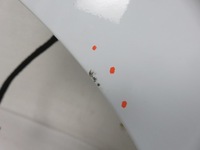 фото thumb №8, Дверь левая передние iveco daily vi фургон