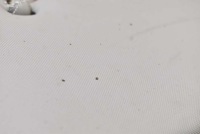 фото thumb №14, Защита солнцезащитная eu 964010026r renault megane 3 iii 08-14