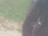 фото thumb №9, Капот малий решітка радіатора lz9w audi a3 8p 2.0 tdi 3d