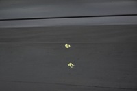 фото thumb №6, Двері передні перед ліва ford s-max mk1 g6