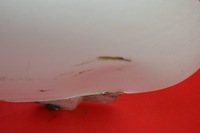 фото thumb №10, Крыло правые перед переднее белый ford transit connect mk1 1 i 02-09