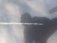 фото thumb №6, Дверь левая задняя citroen c5 iii kombi eypc 2008-2017 кузов голый