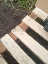 фото thumb №14, Pas передній радіатор citroen c4 iii 1.5 blue hdi комплект