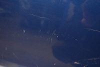 фото thumb №8, Дверь левая задняя задние niebieskie nissan x-trail 2 ii t31 07-13