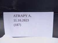 фото thumb №7, Решётка радиатора решётка радиатор skoda scala 657853653