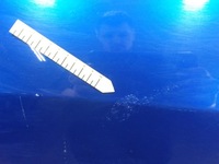 фото thumb №7, Grande punto hb 5d двері перед передні праве 599