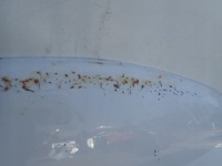 фото thumb №6, Hyundai santa fe iii 12-15 капот крышка двигателя