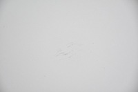 фото thumb №6, Капот кришка двигуна audi a6 c6