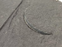 фото thumb №8, Обшивка багажника ford c-max 2007-2010 nowa оригінальна 1471501