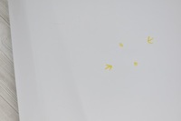 фото thumb №4, Капот крышка двигателя opel insignia a