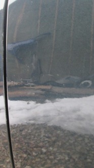 фото thumb №2, Дверь левая зад комплектные mazda rx-8 27c