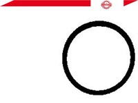 фото thumb №2, Прокладка термостата [elring]