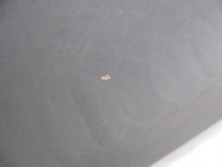 фото thumb №5, Skoda superb ii 2 lift двері передні перед праве