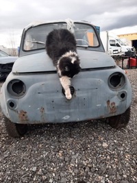 фото thumb №3, Скло передня fiat 500 f l r weteran