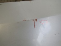 фото thumb №9, Бампер перед передний tesla x 15-19