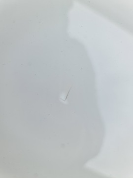 фото thumb №7, Bmw g20 g80 крышка зад спойлер спойлер карбон a300