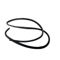 фото thumb №1, Dodge charger 2019 правая сторона уплотнители