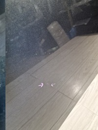 фото thumb №9, Audi q3 83a капот крышка двигателя