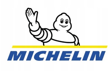 ПЕНА ДЛЯ ЧИСТЕНИЯ ОКОН MICHELIN 650 мл