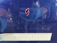 фото thumb №11, Дверь перед левая fiat doblo ii 5d 487