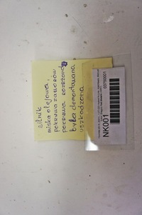 фото thumb №16, Nk001 hyundai i20 iii 1.0 двигун g3lf 101km vat23%