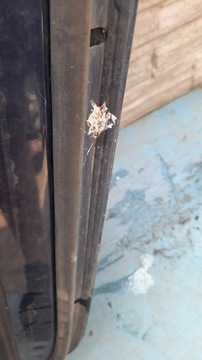 фото thumb №12, Дверь зад правые renault espace 04r