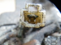 фото thumb №8, Alfa romeo 147 156 2.0 ts компресор кондиціонера