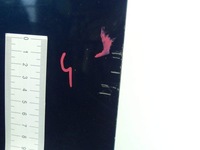 фото thumb №8, Двері перед ліва mazda 5 i 05-08 морський 32c