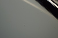 фото thumb №10, Капот крышка двигателя citroen c4 picasso lift ewpa