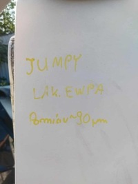 фото thumb №14, Peugeot expert iii citroen jumpy iii l3 long bok крыло правый kod ewpa x