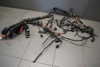 фото thumb №7, Джгут двигуна audi a4 b6 3.0 asn eu 8e1971072qc