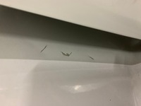 фото thumb №6, Citroen jumper iii 2.0 hdi kompletny перед белый капот бампер лампы