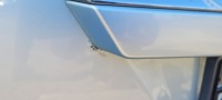 фото thumb №6, Honda fr-v 08r рестайлінг кришка багажника bg51m
