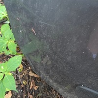 фото thumb №8, Двері праве скло fiat doblo ii opel combo d