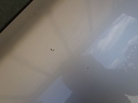 фото thumb №8, Skoda octavia ii kombi дверь правое задние задняя