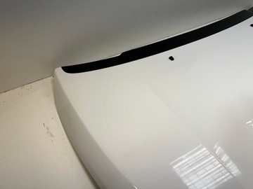 фото thumb №6, Капот opel ampera петли
