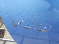 фото thumb №2, Volvo v60 i 2010 - 2018 rok крышка багажника задняя