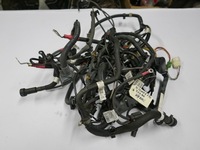 фото thumb №1, Bmw f30 2.0d джгут двигуна n47d20c