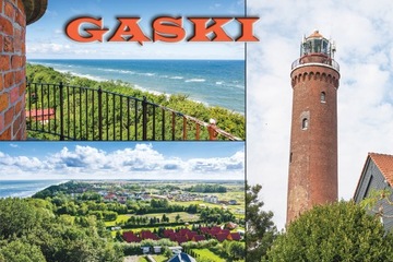 Magnesy na lodówkę miasta - GĄSKI