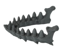 Челюсть дракона с набором кубиков из драконьих зубов — Dragon Teeth Dice Set