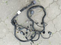 фото thumb №1, Электропроводка жгут двигателя vw golf vi 1,2tsi 03f972619f