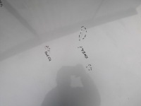 Капот крышка двигателя opel vectra c рестайлинг  z163 05-08 Киев, фото thumb