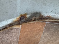 фото thumb №10, Крило праві перед переднє seat exeo lb9a білий /