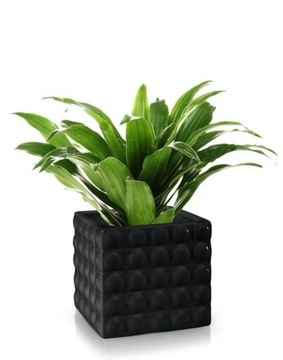 ЧЕРНЫЙ КЕРАМИЧЕСКИЙ цветочный горшок Square Glamour 18 см