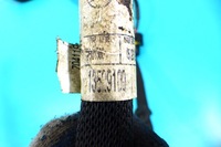 фото thumb №4, Жгут шланг аккумулятор mercedes r w251