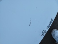 Капот крышка двигателя peugeot expert 2 jumpy scudo 2007-2016 цвет ewpa Киев, фото thumb