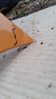 фото thumb №11, Капот opel combo d fiat doblo ii 10-14