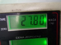 фото thumb №8, Chrysler 300c мост приводной 2.7 v6 52111485ad