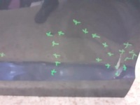 фото thumb №10, Двері передні перед праві audi a3 8v5 sedan 2013-2019r